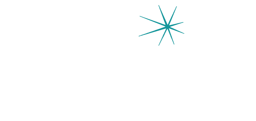 Majestic Domestics