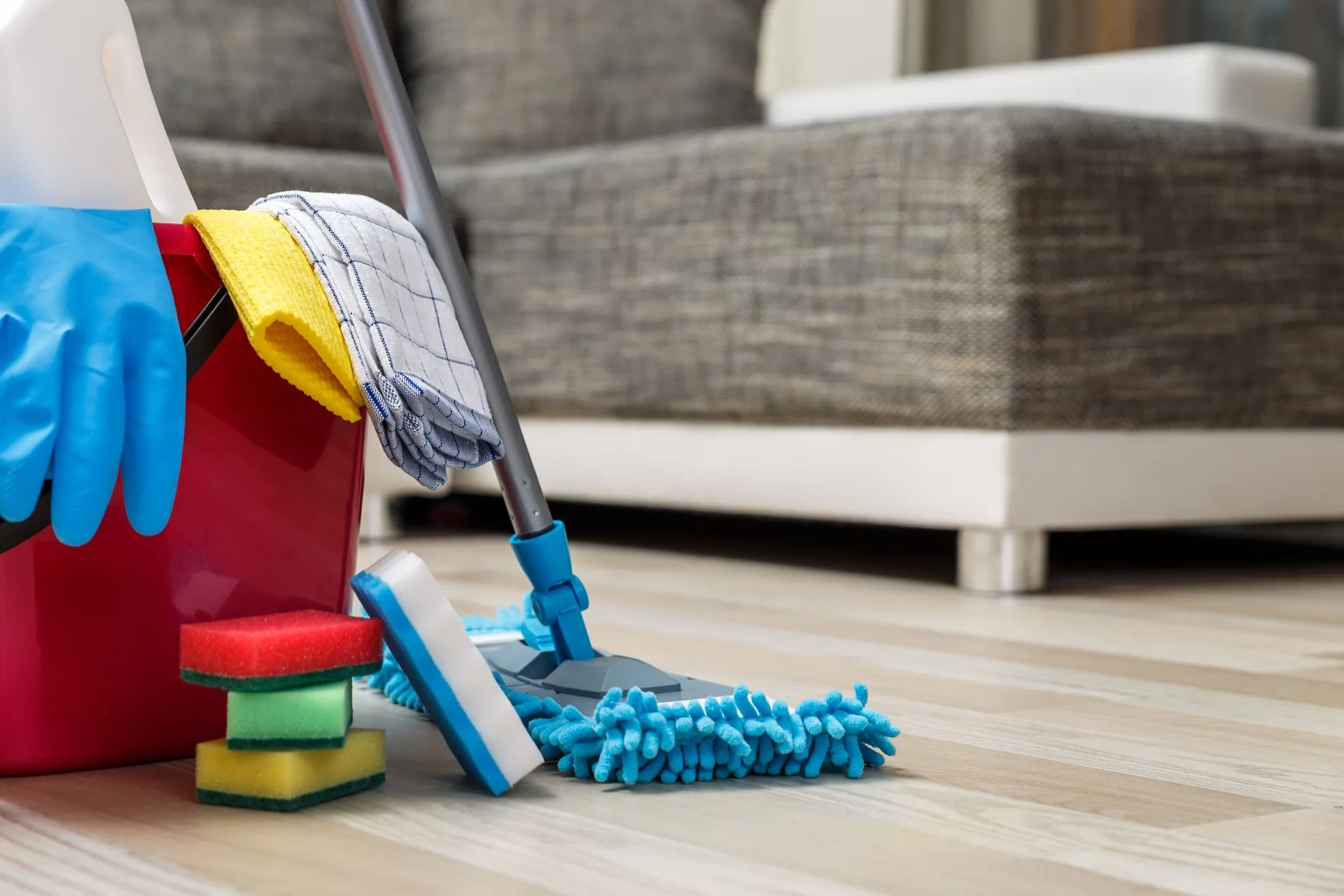 Choosing a House Cleaning