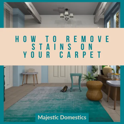 how-to-remove-stains-on-carpet-500x500-1920w