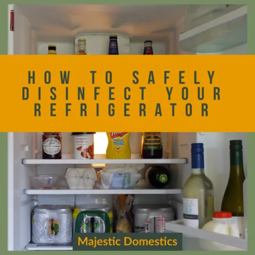 refrigerator-cleaning-500x500-1920w
